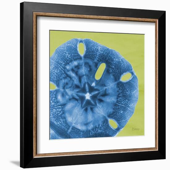 Neon Sand Dollar-Albert Koetsier-Framed Art Print