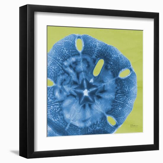 Neon Sand Dollar-Albert Koetsier-Framed Art Print