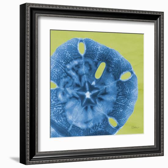 Neon Sand Dollar-Albert Koetsier-Framed Art Print