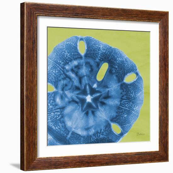 Neon Sand Dollar-Albert Koetsier-Framed Art Print