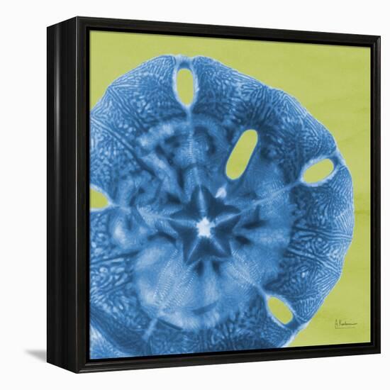 Neon Sand Dollar-Albert Koetsier-Framed Stretched Canvas