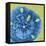 Neon Sand Dollar-Albert Koetsier-Framed Stretched Canvas