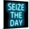 Neon Seize The Day AB-Hailey Carr-Mounted Art Print