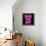 Neon Seize The Day PB-Hailey Carr-Framed Stretched Canvas displayed on a wall