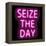 Neon Seize The Day PB-Hailey Carr-Framed Stretched Canvas