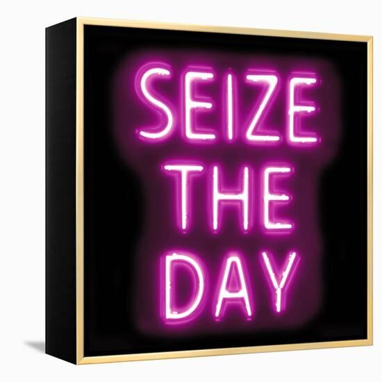 Neon Seize The Day PB-Hailey Carr-Framed Stretched Canvas