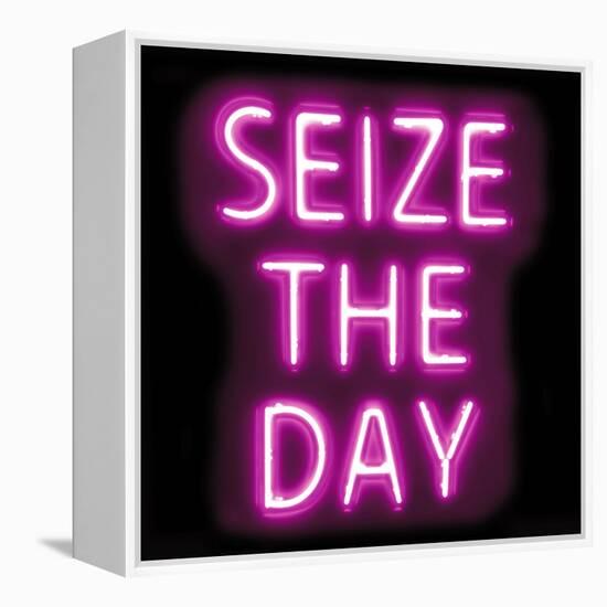 Neon Seize The Day PB-Hailey Carr-Framed Stretched Canvas