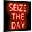 Neon Seize The Day RB-Hailey Carr-Mounted Art Print