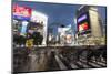 Neon Signs and Pedestrian Crossing (The Scramble) at Night, Shibuya Station, Shibuya, Tokyo, Japan-Stuart Black-Mounted Photographic Print