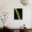 Nepa Cinerea (Water Scorpion)-Paul Starosta-Photographic Print displayed on a wall