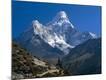 Premium Photographic Print