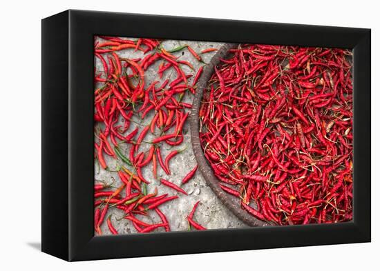 Nepal, drying peppers on the sidewalk-Janell Davidson-Framed Premier Image Canvas