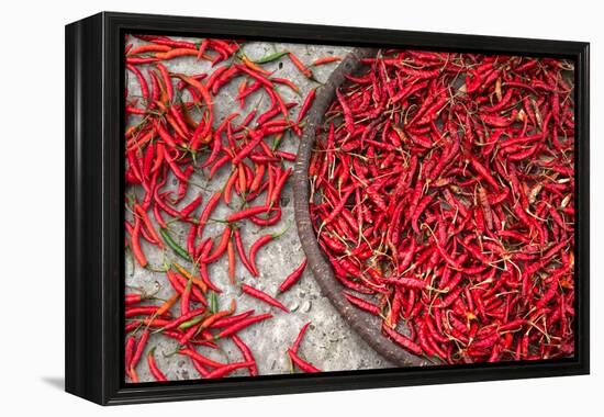 Nepal, drying peppers on the sidewalk-Janell Davidson-Framed Premier Image Canvas