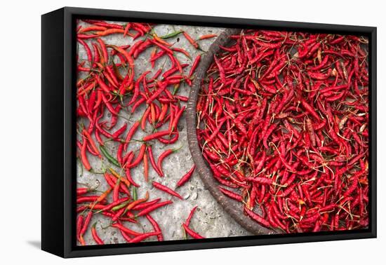 Nepal, drying peppers on the sidewalk-Janell Davidson-Framed Premier Image Canvas
