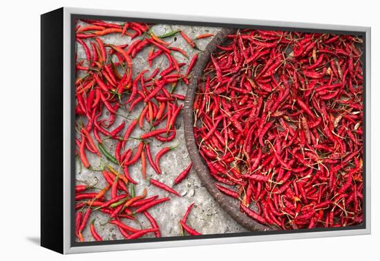 Nepal, drying peppers on the sidewalk-Janell Davidson-Framed Premier Image Canvas