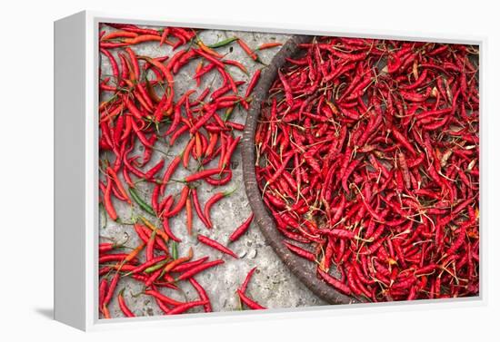 Nepal, drying peppers on the sidewalk-Janell Davidson-Framed Premier Image Canvas