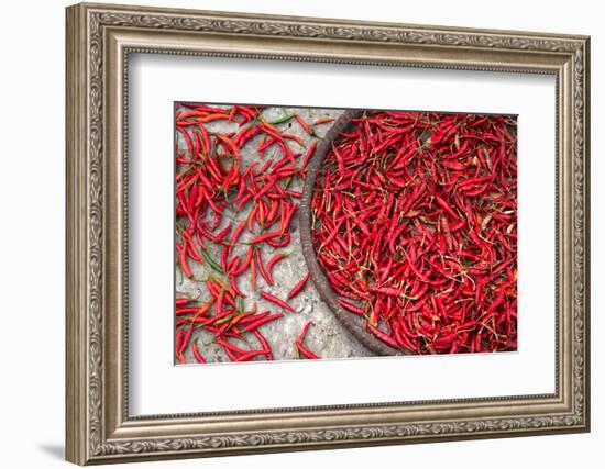 Nepal, drying peppers on the sidewalk-Janell Davidson-Framed Photographic Print