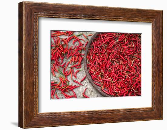 Nepal, drying peppers on the sidewalk-Janell Davidson-Framed Photographic Print