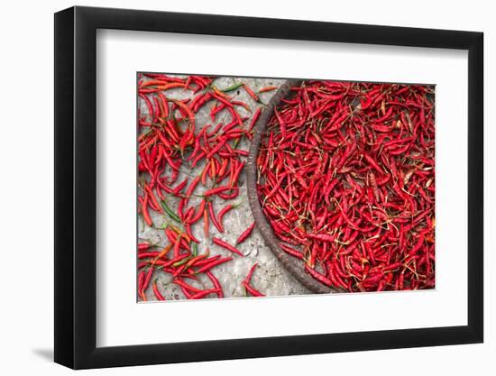 Nepal, drying peppers on the sidewalk-Janell Davidson-Framed Photographic Print