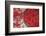 Nepal, drying peppers on the sidewalk-Janell Davidson-Framed Photographic Print