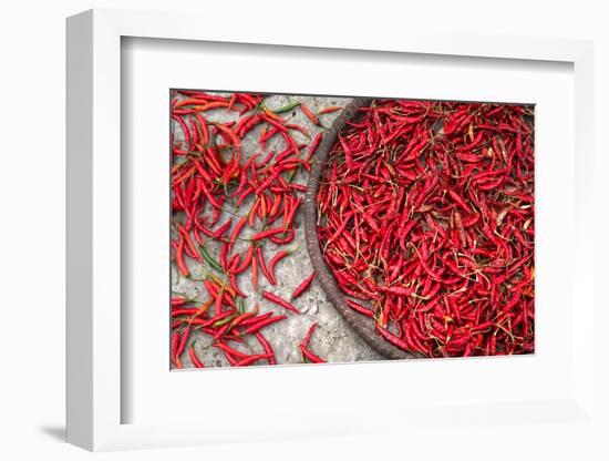 Nepal, drying peppers on the sidewalk-Janell Davidson-Framed Photographic Print