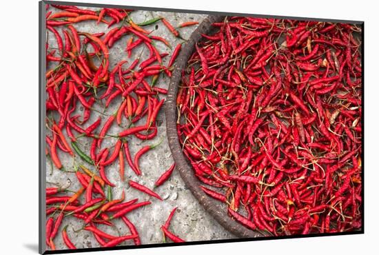 Nepal, drying peppers on the sidewalk-Janell Davidson-Mounted Photographic Print