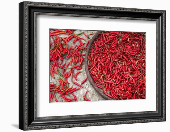 Nepal, drying peppers on the sidewalk-Janell Davidson-Framed Photographic Print