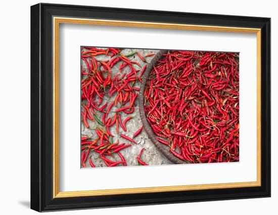 Nepal, drying peppers on the sidewalk-Janell Davidson-Framed Photographic Print