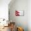 Nepal Flag Design with Wood Patterning - Flags of the World Series-Philippe Hugonnard-Mounted Art Print displayed on a wall