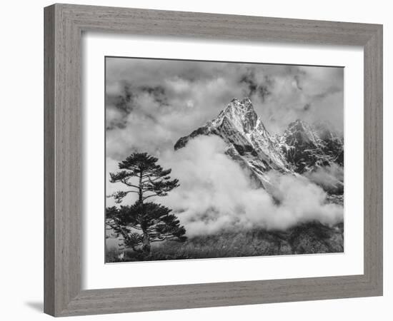 Nepal, Himalayas Mountain and Tree-John Ford-Framed Photographic Print