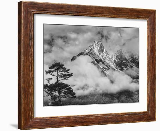 Nepal, Himalayas Mountain and Tree-John Ford-Framed Photographic Print