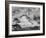Nepal, Himalayas Mountain and Tree-John Ford-Framed Photographic Print