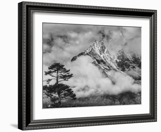 Nepal, Himalayas Mountain and Tree-John Ford-Framed Photographic Print