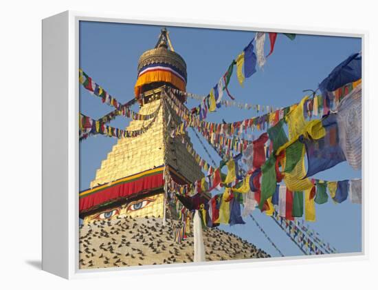 Nepal; Kathmandu, Boudinath Stupa-Mark Hannaford-Framed Premier Image Canvas