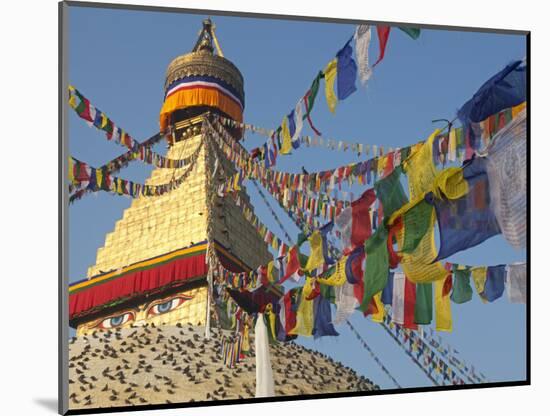 Nepal; Kathmandu, Boudinath Stupa-Mark Hannaford-Mounted Photographic Print