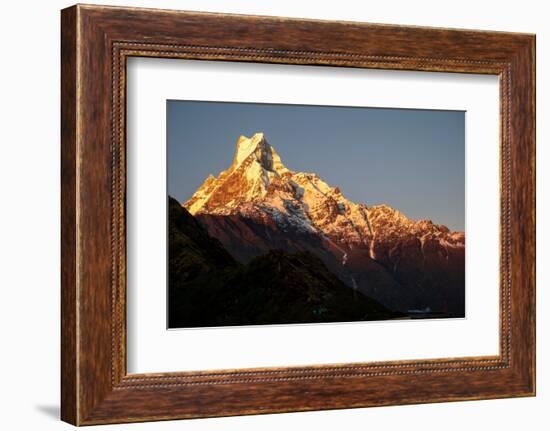 Nepal. Machapuchare Mountain in the Himalayas Region-Janell Davidson-Framed Photographic Print