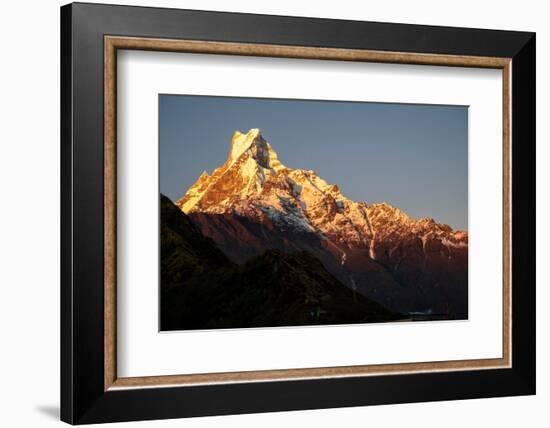 Nepal. Machapuchare Mountain in the Himalayas Region-Janell Davidson-Framed Photographic Print