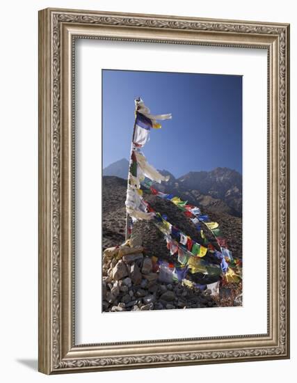 Nepal, Mustang. Prayer Flags Fluttering at Dajori La Pass, High Up Above the Village of Samar.-Katie Garrod-Framed Photographic Print