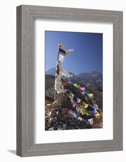 Nepal, Mustang. Prayer Flags Fluttering at Dajori La Pass, High Up Above the Village of Samar.-Katie Garrod-Framed Photographic Print