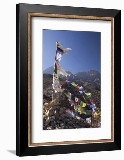 Nepal, Mustang. Prayer Flags Fluttering at Dajori La Pass, High Up Above the Village of Samar.-Katie Garrod-Framed Photographic Print