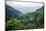 Nepal, viewpoint from Mardi Himal Trek. Lush terraced rice fields.-Janell Davidson-Mounted Photographic Print