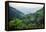 Nepal, viewpoint from Mardi Himal Trek. Lush terraced rice fields.-Janell Davidson-Framed Premier Image Canvas