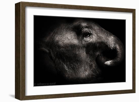 Nepal-Rebecca Gaal-Framed Photographic Print