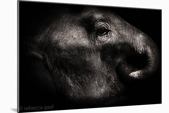 Nepal-Rebecca Gaal-Mounted Photographic Print