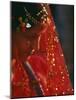 Nepali Woman Dressed in Wedding Veil, Kathmandu, Nepal-Paul Harris-Mounted Photographic Print