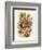 Nepenthaceae, 1899-1904-null-Framed Giclee Print