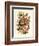 Nepenthaceae, 1899-1904-null-Framed Giclee Print