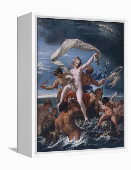 Neptune and Amphitrite-Sebastiano Ricci-Framed Premier Image Canvas