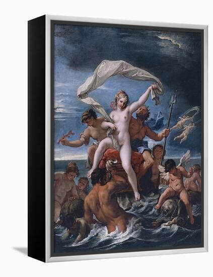 Neptune and Amphitrite-Sebastiano Ricci-Framed Premier Image Canvas