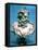 Neptune, Roman God of the Oceans-null-Framed Premier Image Canvas